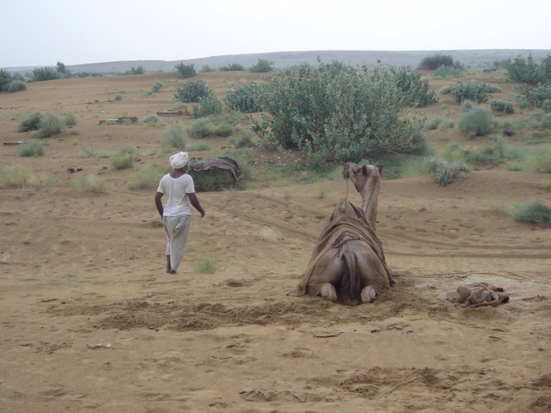 Travel - India - Rajasthan - Desert Camel Trip - Next Morning